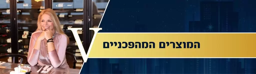 ליווי עסקי